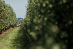 RhodePhoto_BoleroGravel_20260621_LoRes-126