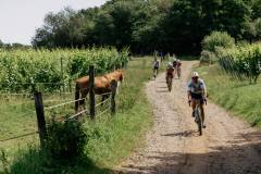RhodePhoto_BoleroGravel_20260621_LoRes-144